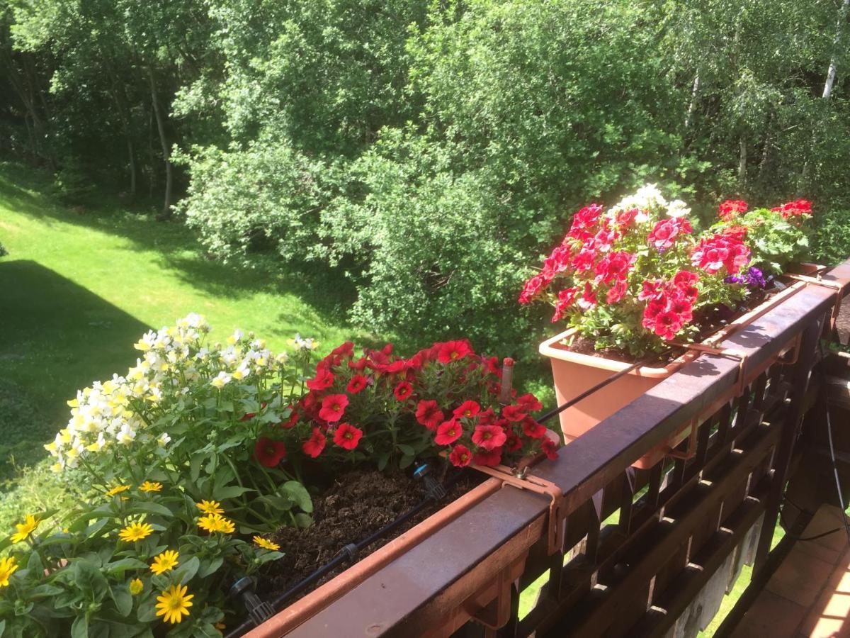Ferienwohnung Kuckuck Auf Dem Sommerberg Incl Schwarzwaldcard Plus - 2 Zimmer 50Qm Бад-Вильдбад Экстерьер фото