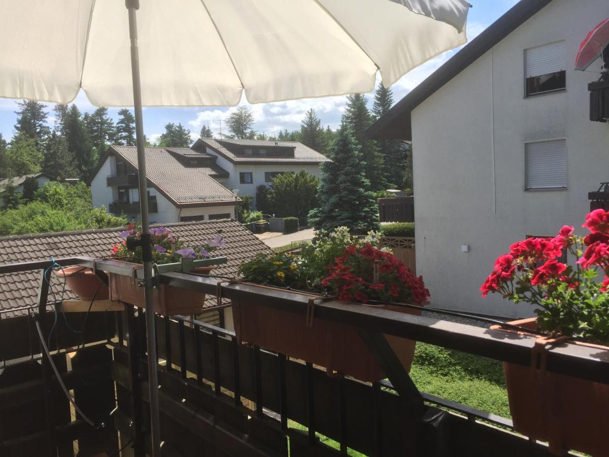Ferienwohnung Kuckuck Auf Dem Sommerberg Incl Schwarzwaldcard Plus - 2 Zimmer 50Qm Бад-Вильдбад Экстерьер фото