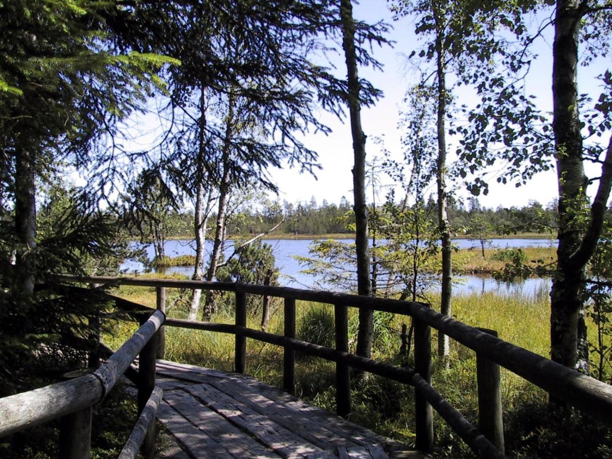 Ferienwohnung Kuckuck Auf Dem Sommerberg Incl Schwarzwaldcard Plus - 2 Zimmer 50Qm Бад-Вильдбад Экстерьер фото