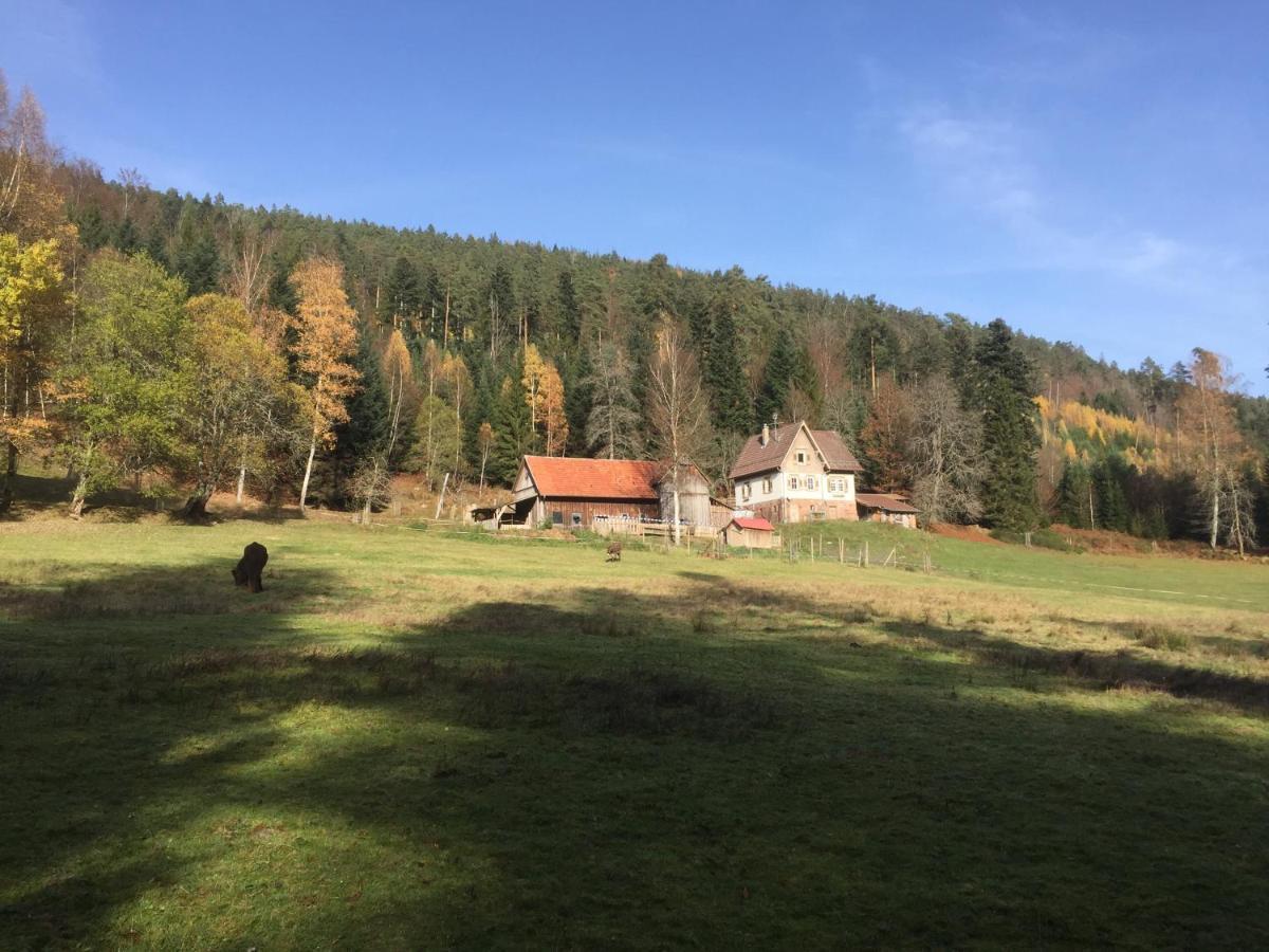 Ferienwohnung Kuckuck Auf Dem Sommerberg Incl Schwarzwaldcard Plus - 2 Zimmer 50Qm Бад-Вильдбад Экстерьер фото
