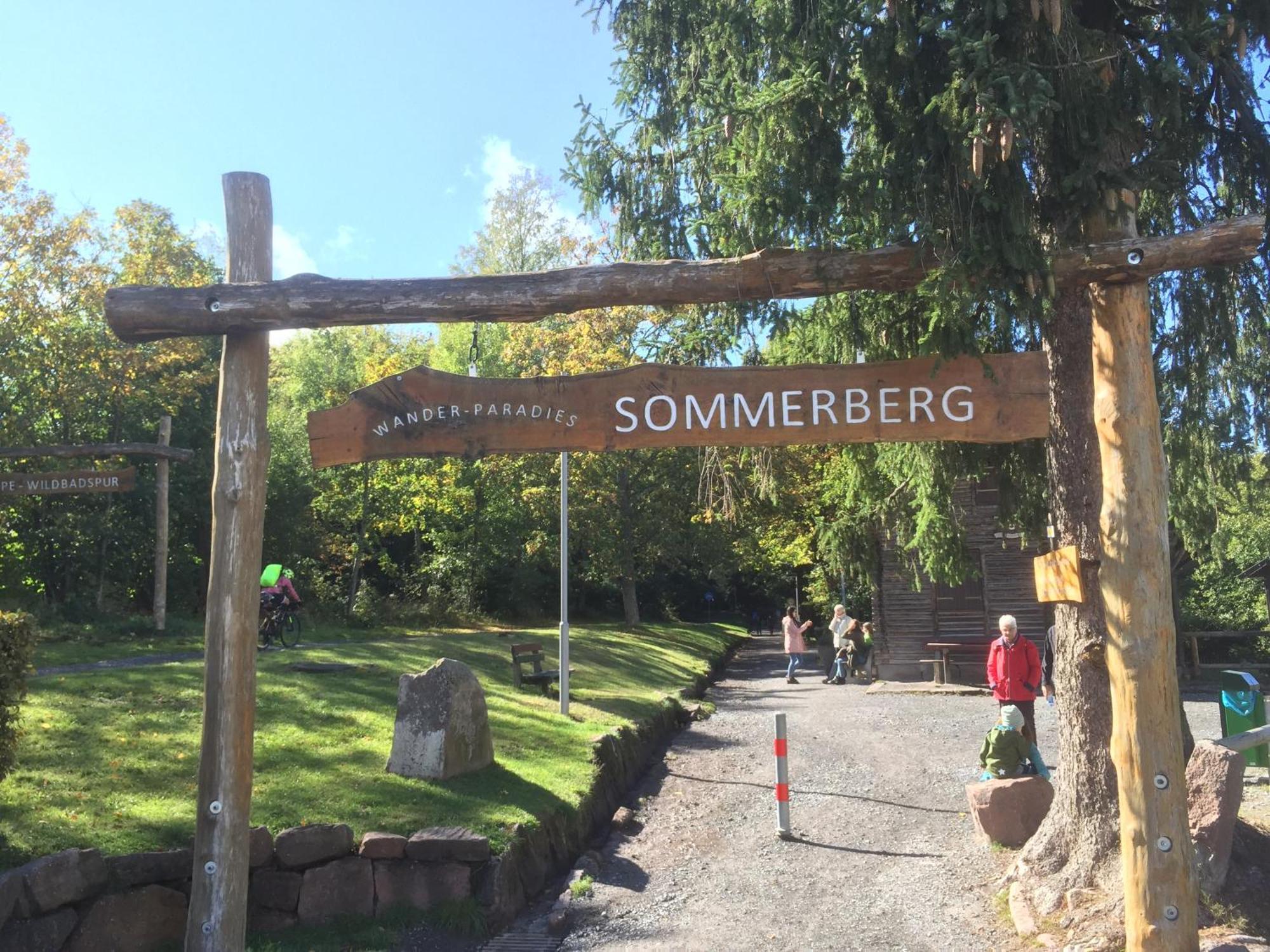 Ferienwohnung Kuckuck Auf Dem Sommerberg Incl Schwarzwaldcard Plus - 2 Zimmer 50Qm Бад-Вильдбад Экстерьер фото